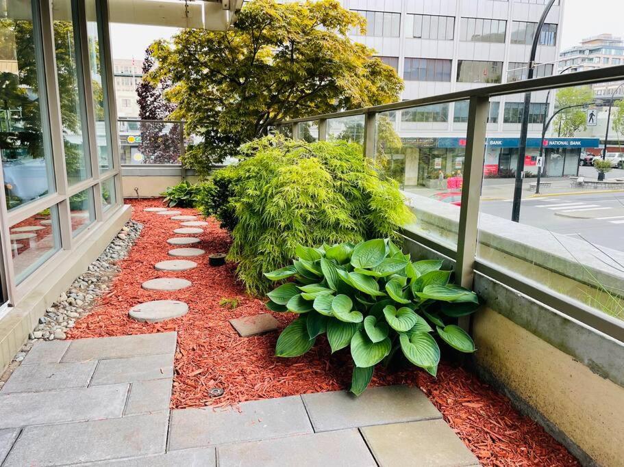 Spacious Downtown 2 Bedroom Condo With Pool And Air Conditioning Victoria Exteriör bild